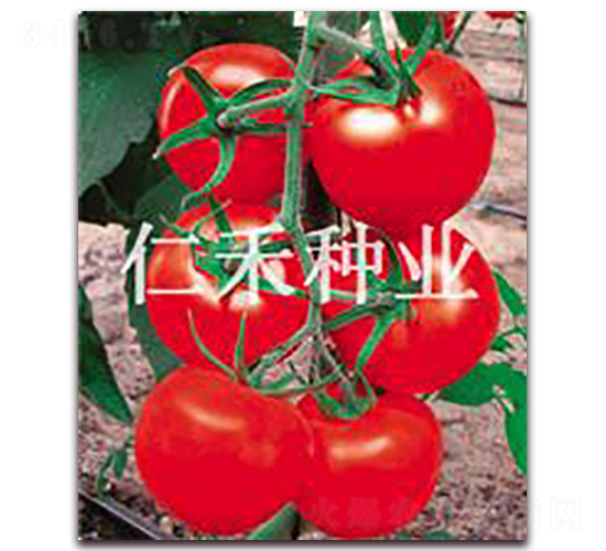 ��(m��ng)��-�t�����ѷN��-�ʺ̷N�I(y��)