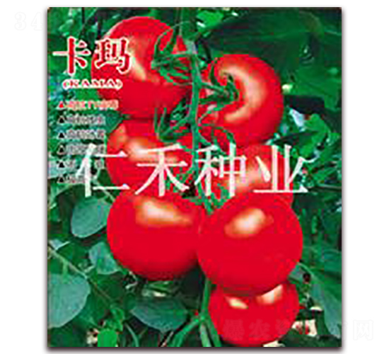 ����-�t�����ѷN��-�ʺ̷N�I(y��)