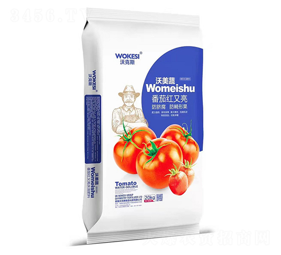 ���Ѽt����-�ֿ�˹-ǰ�طʘI(y��)