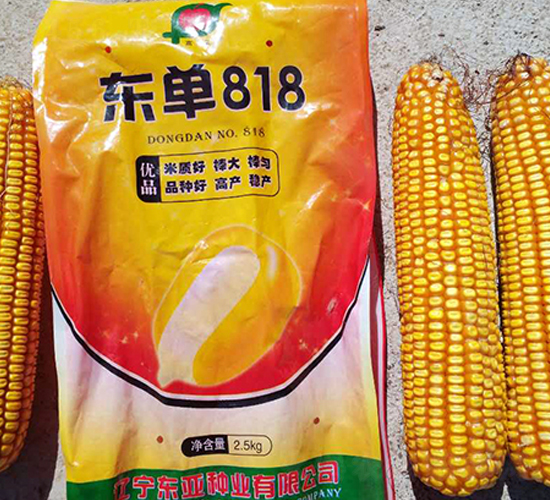 �|��818-���׷N��-�|��