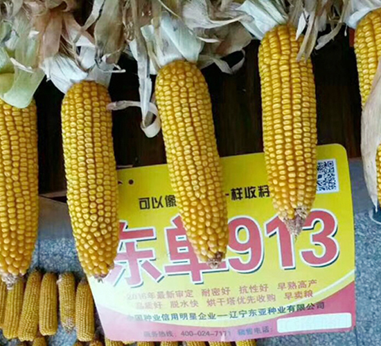 �|��913-���׷N��-�|��