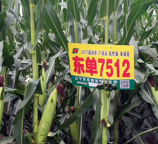 �|��7512-���׷N��-�|��