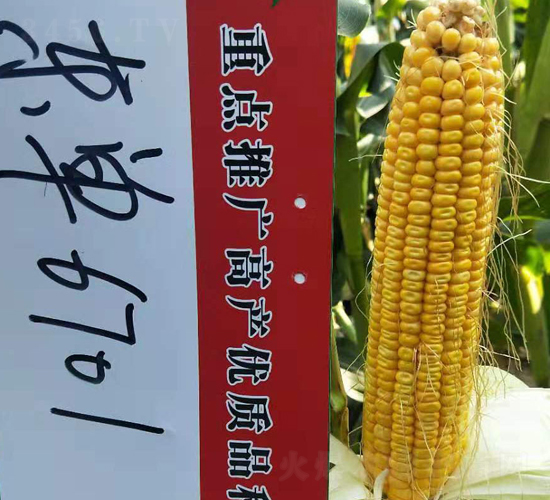 �|��6701-���׷N��-�|��