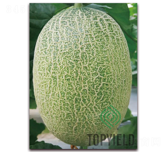 �S��29-��ϷN��-�S�ǷN�I(y��)