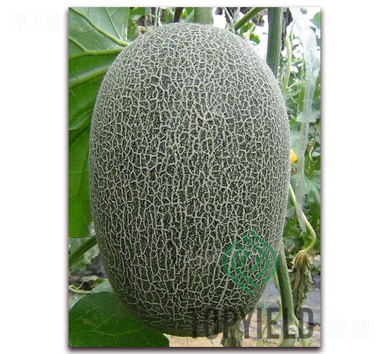 �S��25-��ϷN��-�S�ǷN�I(y��)