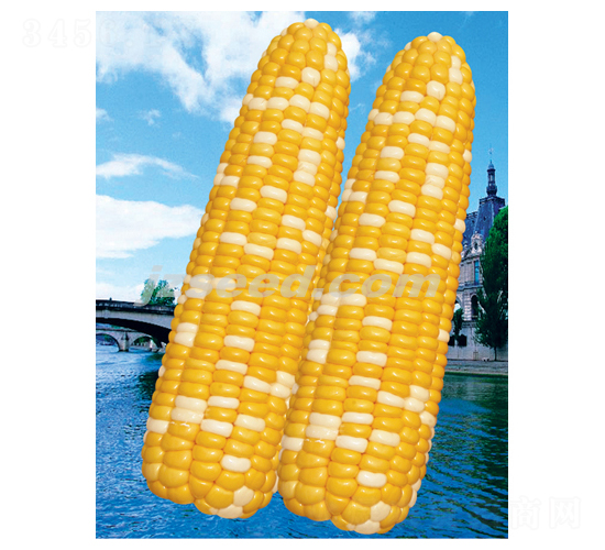 ���y�۴�-���׷N��-�F(xi��n)���N�I(y��)