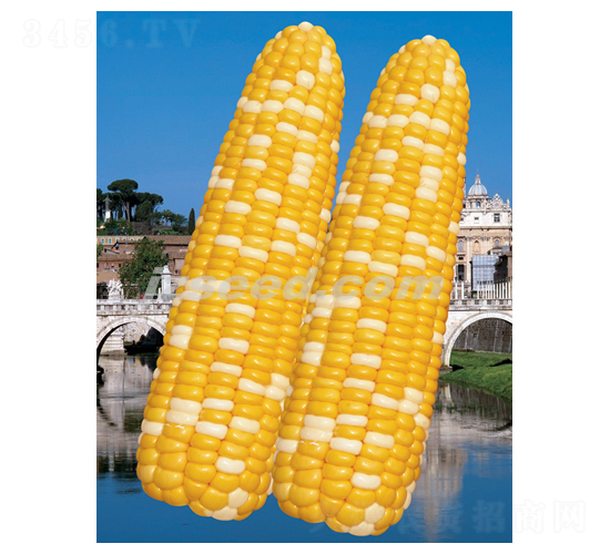 �����pϲ-���׷N��-�F(xi��n)���N�I(y��)