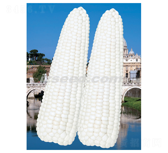 �����yŴ-���׷N��-�F(xi��n)���N�I(y��)