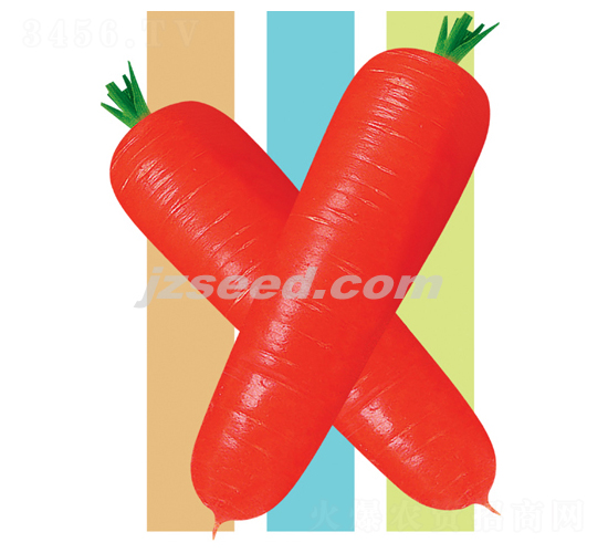 �t��808��S-���}���N��-�F(xi��n)���N�I(y��)