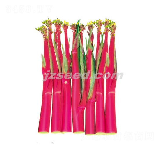 ���tһ̖(h��o)-��޷�N��-�F(xi��n)���N�I(y��)