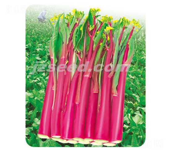 ��ݿ��̖(h��o)-��޷�N��-�F(xi��n)���N�I(y��)