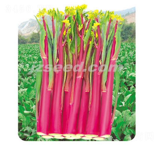 ��ݿһ̖(h��o)-��޷�N��-�F(xi��n)���N�I(y��)