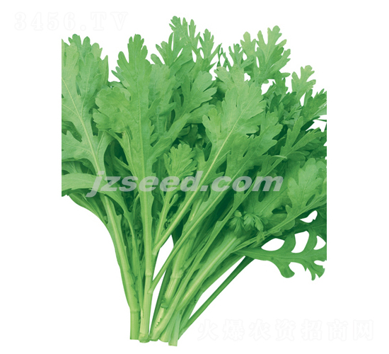 �hꖻ��~����-����N��-�F(xi��n)���N�I(y��)