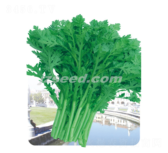 �оջ��~����-����N��-�F(xi��n)���N�I(y��)