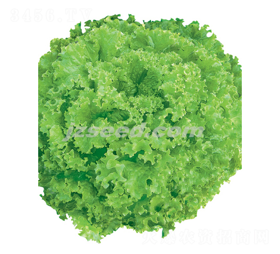 �������-���˷N��-�F(xi��n)���N�I(y��)