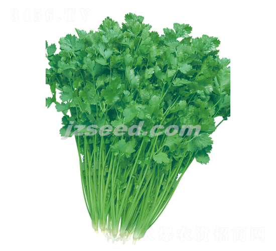 �����������ͳ�ܾݴ-ܾݴ�N��-�F(xi��n)���N�I(y��)