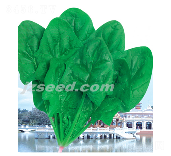 �����_-���˷N��-�F(xi��n)���N�I(y��)