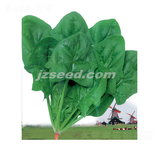 ���m����368-���˷N��-�F(xi��n)���N�I(y��)