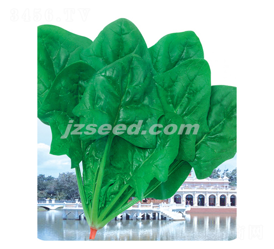 ���-���˷N��-�F(xi��n)���N�I(y��)