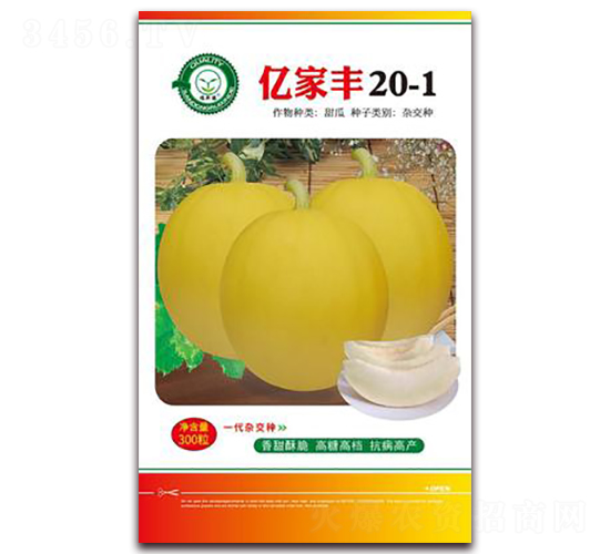 �|���S20-1-��ϷN��-�|���S