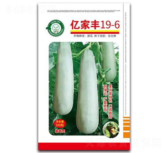 �|���S19-6-��ϷN��-�|���S