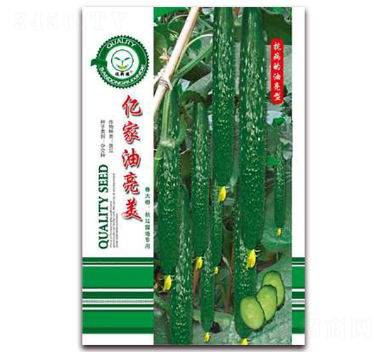 �|��������-�S�ϷN��-�|���S