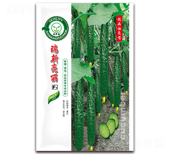 ��������-�S�ϷN��-�|���S