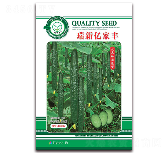 ���|���S-�S�ϷN��-�|���S