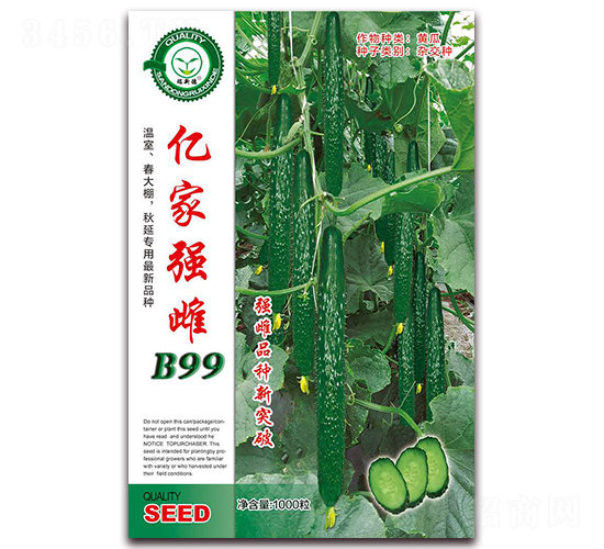 �|�ҏ�(qi��ng)��B99-�S�ϷN��-�|���S