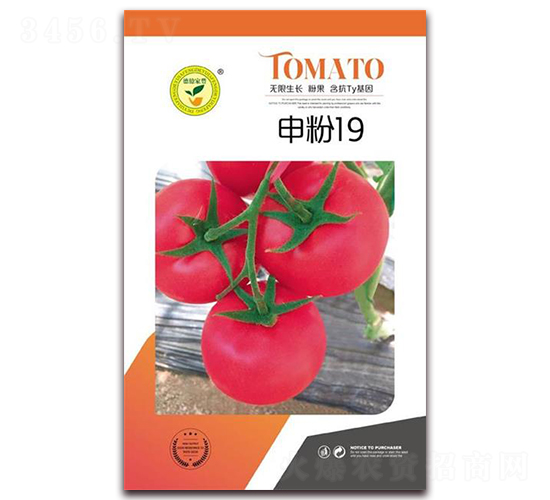 ���19-���ѷ۹��N��-�|���S