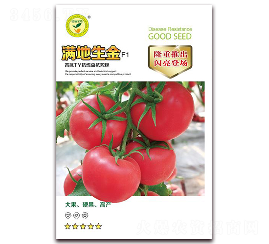 �M������-���ѷ۹��N��-�|���S