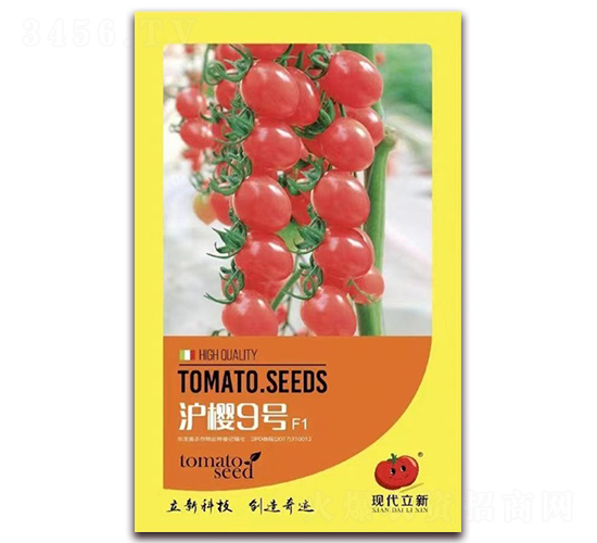 ����9̖-���ѷ۹��N��-�|���S