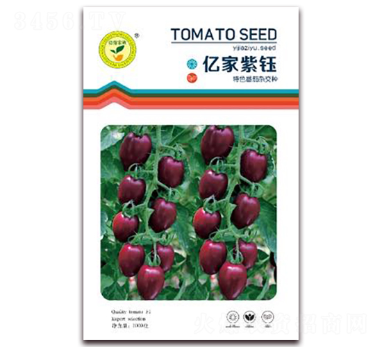 �|�����-���Ѽt���N��-�|���S