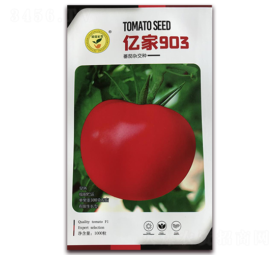 �|��903-���Ѽt���N��-�|���S