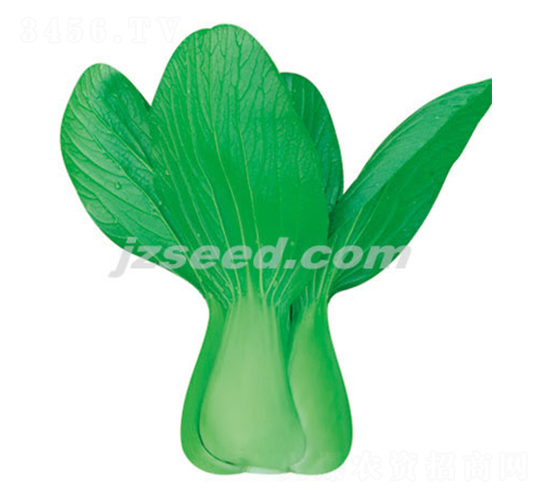 ����21-С�ײ˷N��-�F(xi��n)���N�I(y��)