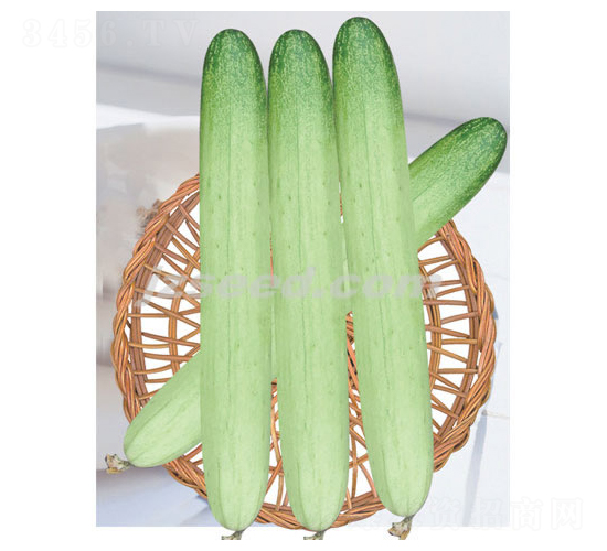 �n���y��-�S�ϷN��-�F(xi��n)���N�I(y��)