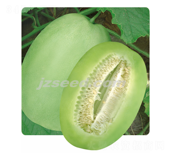 ����̴�-��ϷN��-�F(xi��n)���N�I(y��)