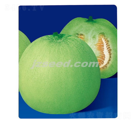 �������-��ϷN��-�F(xi��n)���N�I(y��)