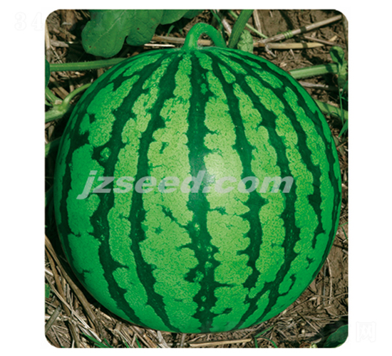 ��������-���ϷN��-�F(xi��n)���N�I(y��)