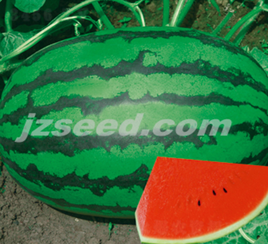 �_������-���ϷN��-�F(xi��n)���N�I(y��)