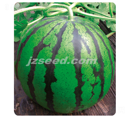 ��������-���ϷN��-�F(xi��n)���N�I(y��)