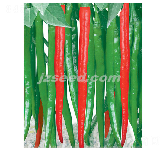 �����S��-�����N��-�F(xi��n)���N�I(y��)