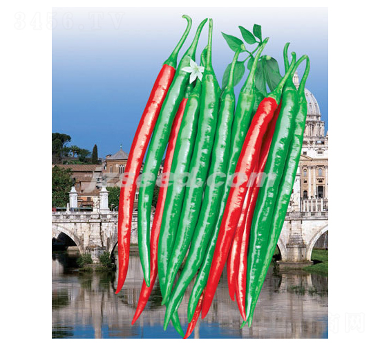 ������̖-�����N��-�F(xi��n)���N�I(y��)