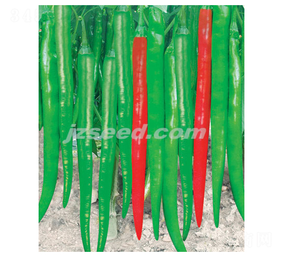 ������̖-�����N��-�F(xi��n)���N�I(y��)