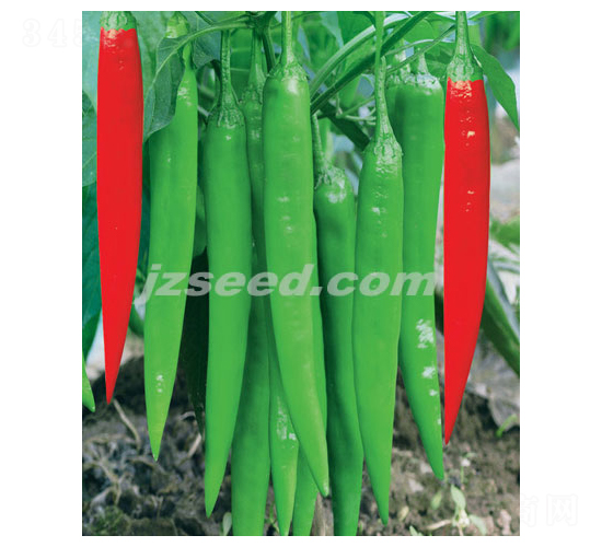 ����һ̖(h��o)-�����N��-�F(xi��n)���N�I(y��)