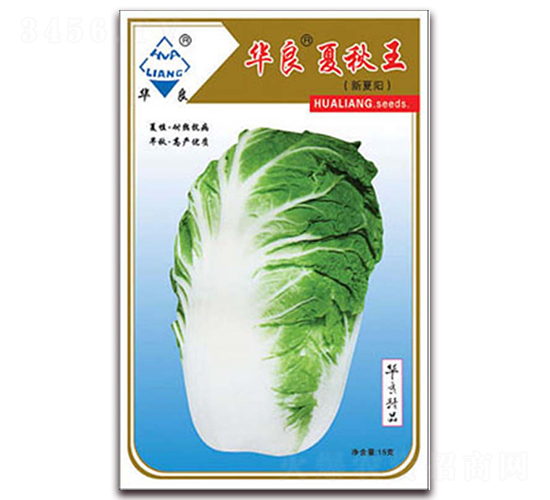 �A��������-��ײ˷N��-�A���N�I(y��)