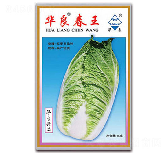 �A������-��ײ˷N��-�A���N�I(y��)