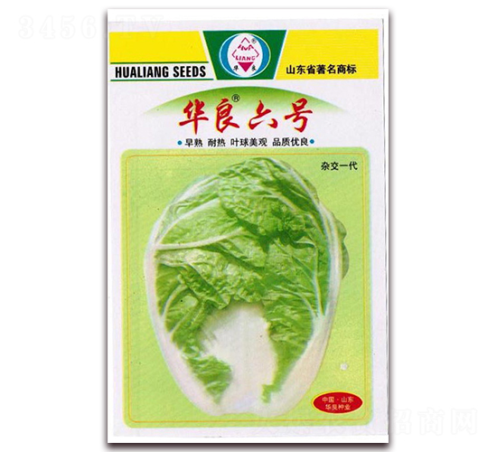 �A����̖-��ײ˷N��-�A���N�I(y��)