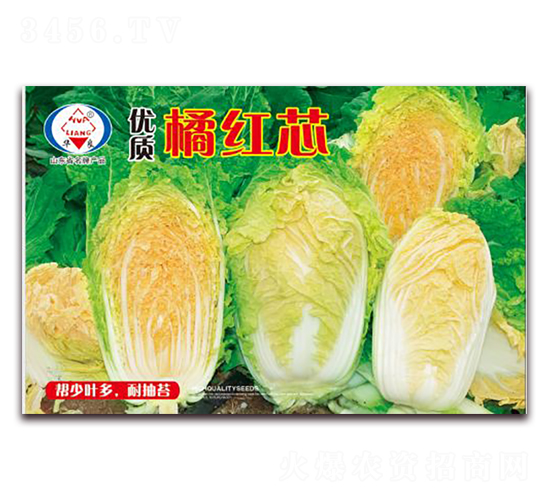 �ټt��-��ײ˷N��-�A���N�I(y��)