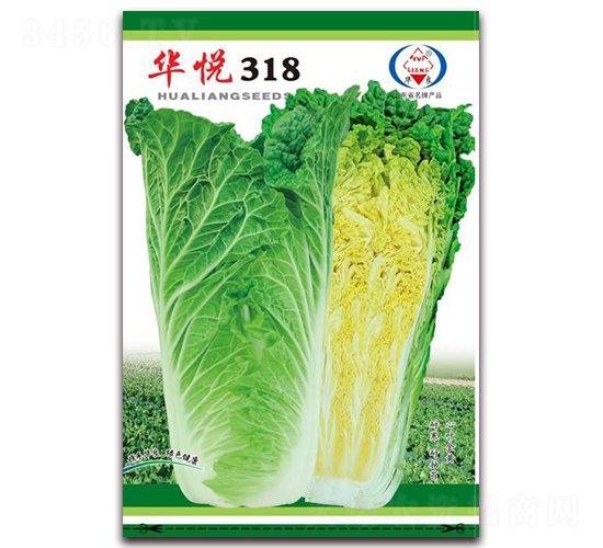 �A��318-��ײ˷N��-�A���N�I(y��)